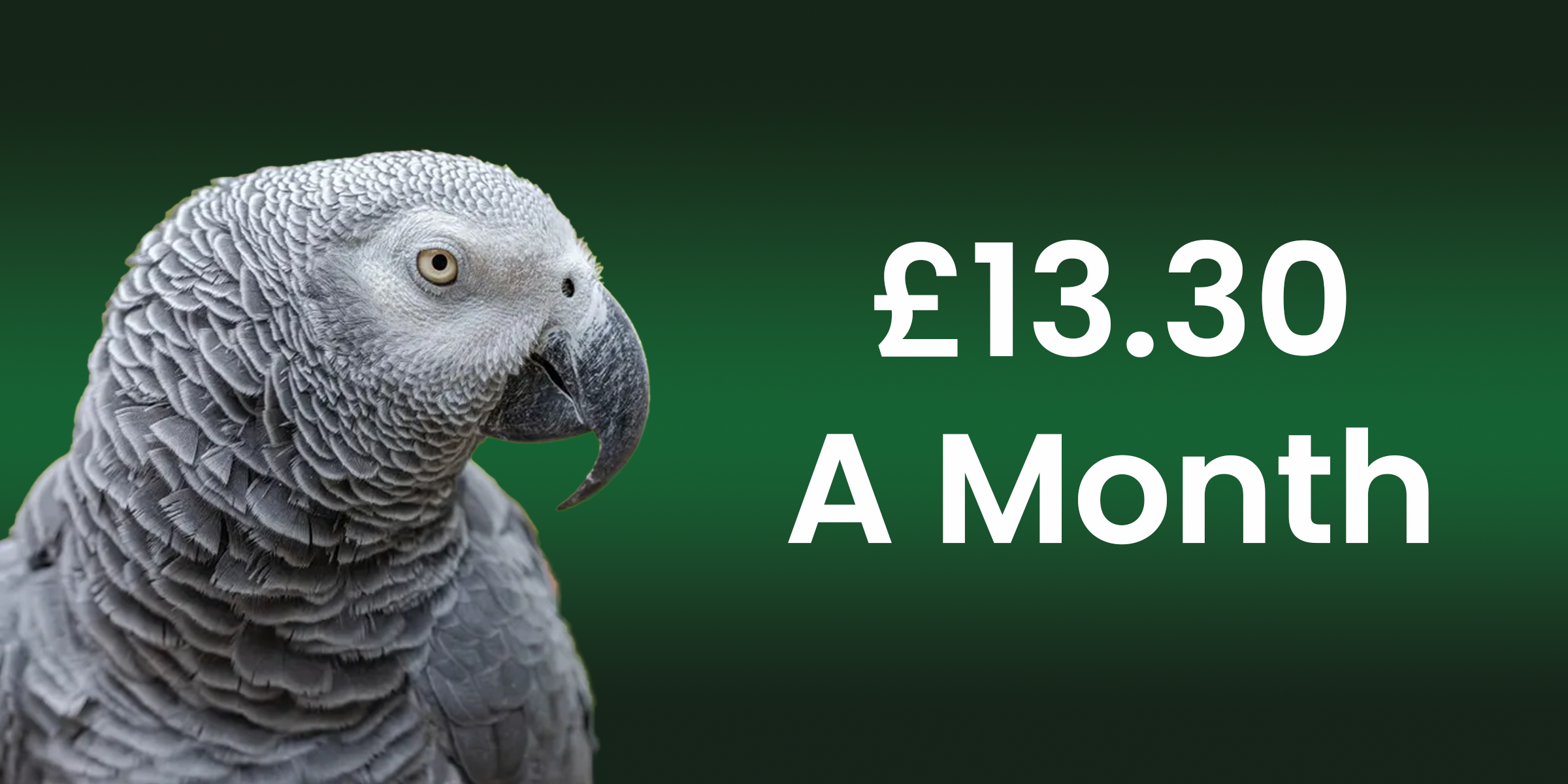Silver Membership <br>(£13.30 a month)<br>