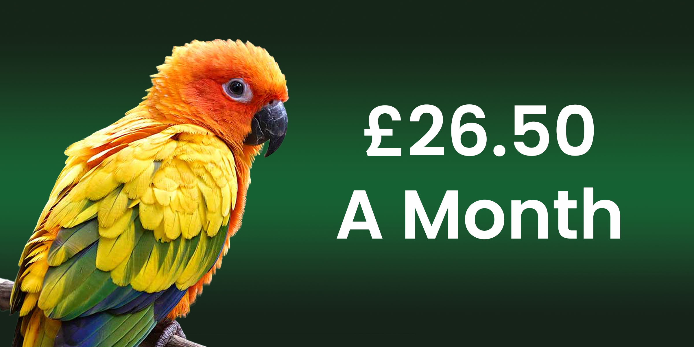 Gold Membership <br>(£26.50 a month)<br>