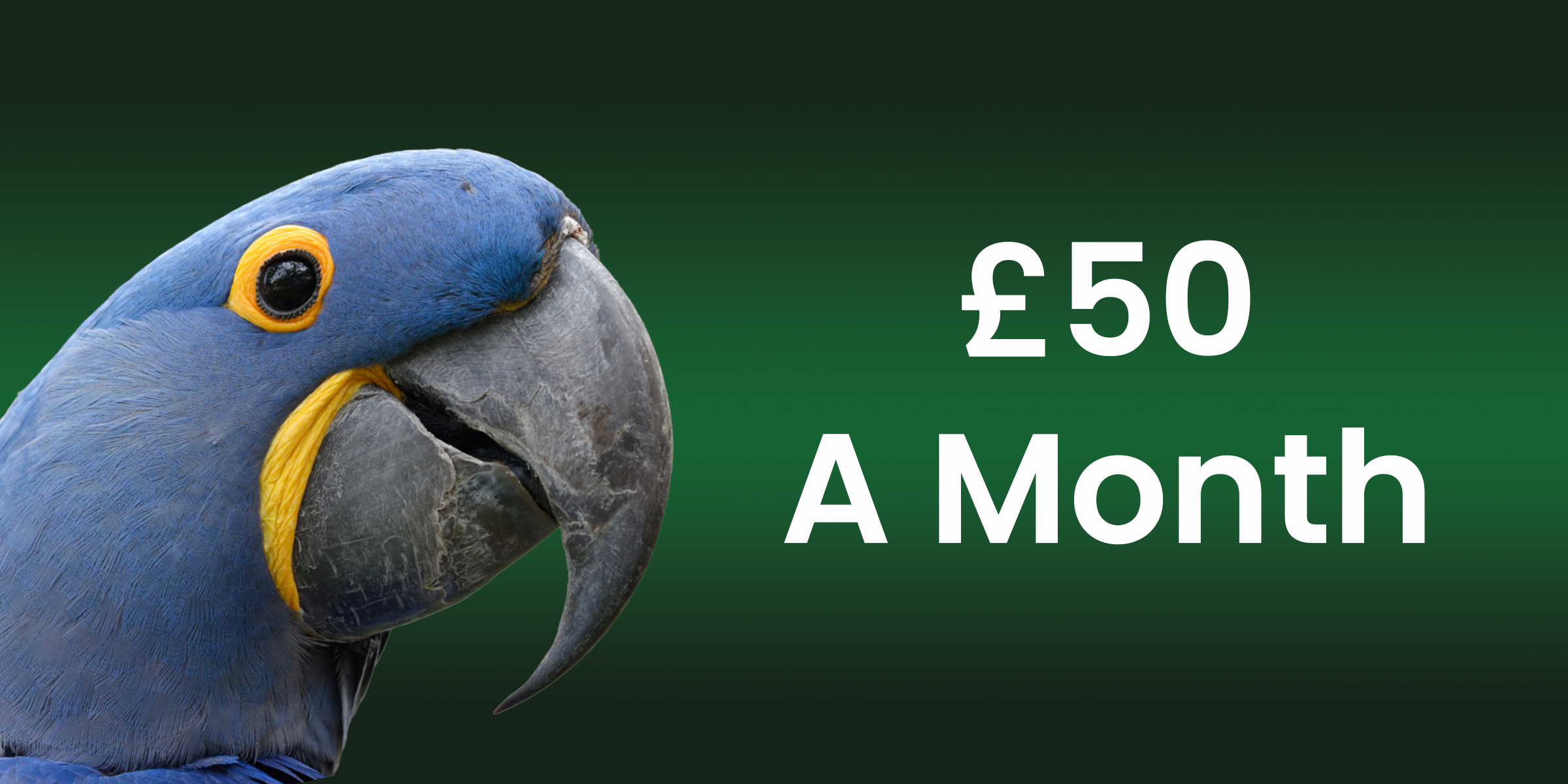 Platinum Membership (£50 a month)