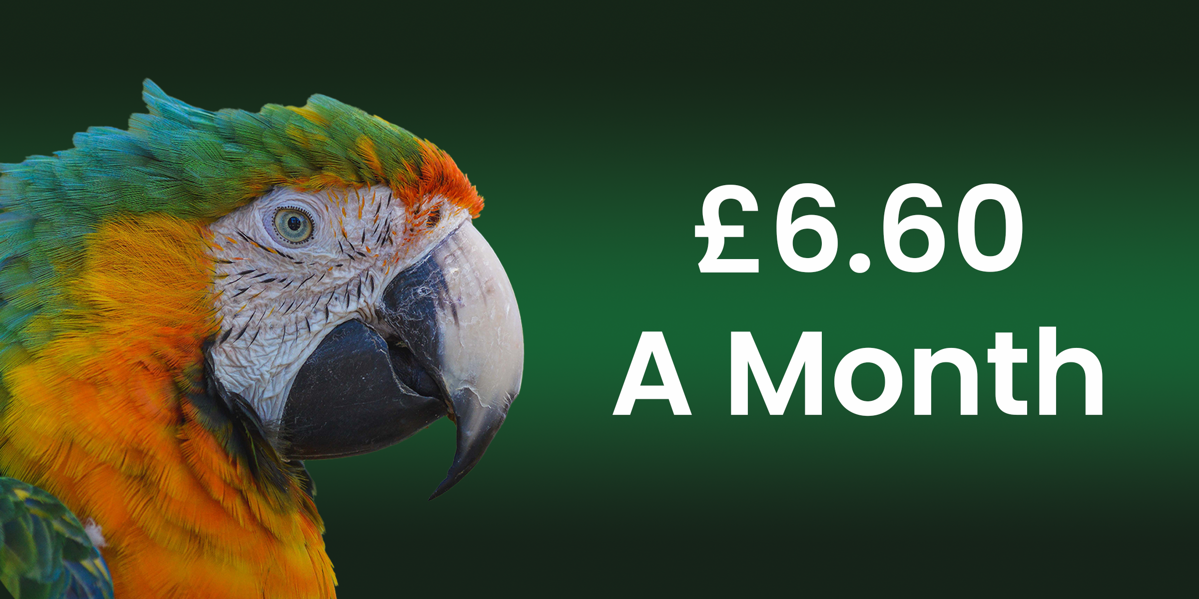 Bronze Membership <br>(£6.60 a month)<br>