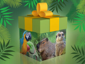 Tropical Birdland Day Vouchers