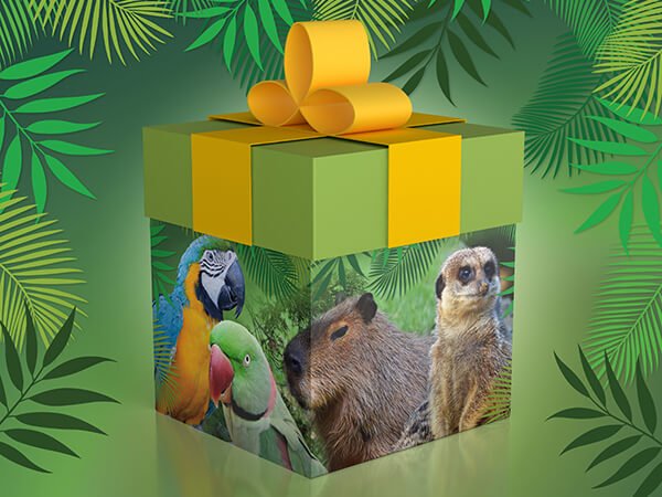 Tropical Birdland Day Vouchers